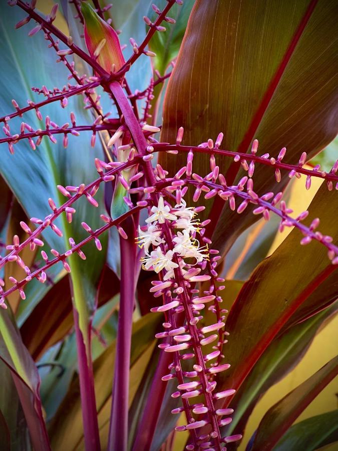 Bangalo De Madeira Em Condominio De Praia Camaçari Екстериор снимка